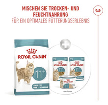Royal Canin Trockenfutter und Nassfutter für Senior-Katzen ab 11 Jahren zur Mischfütterung.
