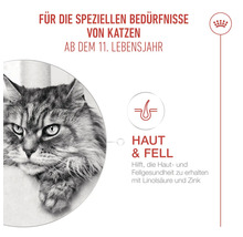 Infographie pour nourriture pour chats à partir de 11 ans pour la santé de la peau et du pelage avec acide linoléique et zinc, Royal Canin Logo.