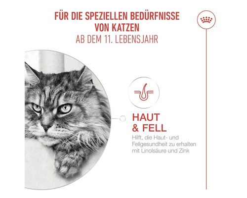 Infographie pour nourriture pour chats à partir de 11 ans pour la santé de la peau et du pelage avec acide linoléique et zinc, Royal Canin Logo.