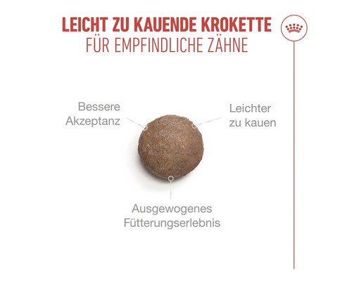 Croquette facile à mâcher pour dents sensibles, meilleure acceptation et expérience d'alimentation équilibrée. Royal Canin Logo.