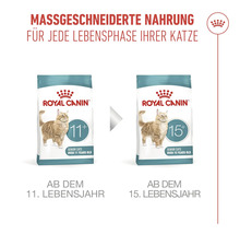 Nourriture Royal Canin pour chats seniors à partir de 11 et 15 ans, alimentation sur mesure, Royal Canin Logo.