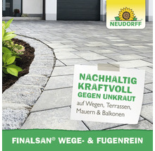 Saubere gepflasterte Fläche auf Wegen und Terrassen ohne Unkraut, Neudorff Logo, Text zu Finalsan Wege- und Fugenrein.