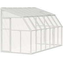 Anlehngewächshaus mit weißem Rahmen, transparenten Scheiben, einer Tür und einem Dachfenster.