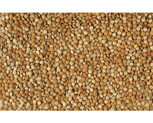 Nahaufnahme von runden, flachen Futterpellets in verschiedenen Brauntönen.