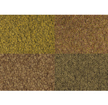 Quatre variétés de nourriture pour poissons d aquarium sous forme de petits disques ronds.