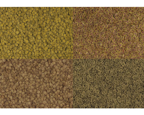 Quatre variétés de nourriture pour poissons d aquarium sous forme de petits disques ronds.
