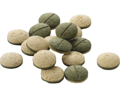 Pastilles pour poissons à deux couches pour poissons de fond en aquarium.