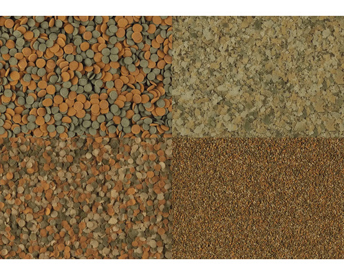 Collage mit vier verschiedenen Arten von Fischfutter für Aquarien: Tabletten, Flocken und Granulat in unterschiedlichen Strukturen.