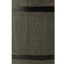 Detailansicht einer dunklen Holzmaserung auf einer Kunststofftonne mit waagerechten schwarzen Bändern.