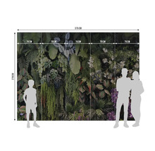 Papier peint photo jungle avec plantes et fougères, 375 sur 270 centimètres, 5 lés de 75 centimètres, silhouettes pour illustrer les dimensions.