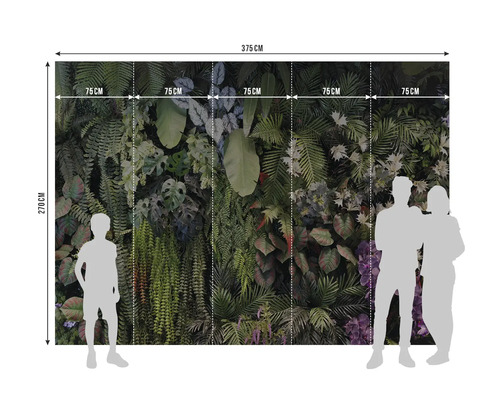 Papier peint photo jungle avec plantes et fougères, 375 sur 270 centimètres, 5 lés de 75 centimètres, silhouettes pour illustrer les dimensions.