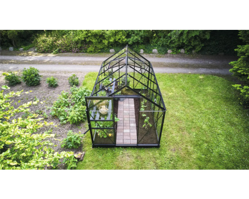 Serre en verre autoportante avec cadre noir et toit à deux versants dans un jardin avec des plantes et une allée pavée.