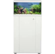 Aquarium rectangulaire avec aquascape composé de plantes vertes et de pierres brunes, posé sur un meuble blanc à trois panneaux.