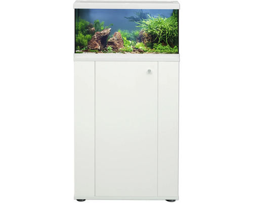 Aquarium rectangulaire avec aquascape composé de plantes vertes et de pierres brunes, posé sur un meuble blanc à trois panneaux.