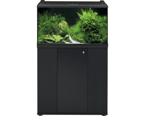 Ensemble aquarium avec meuble noir, aquascaping avec diverses plantes vertes, des roches et un chemin de sable blanc.