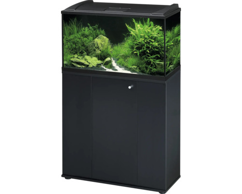 Combinaison d aquarium composée d un meuble bas noir et d un aquarium avec plantes aquatiques et pierres.
