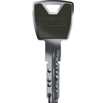 Clé réversible ABUS en métal avec tête en plastique noir et ABUS Logo.