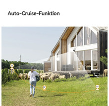 Caméra de surveillance sur maison moderne illustrant la fonction Auto-Cruise avec chemin de surveillance marqué sur un pâturage avec moutons.