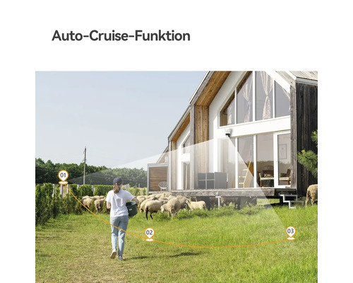 Caméra de surveillance sur maison moderne illustrant la fonction Auto-Cruise avec chemin de surveillance marqué sur un pâturage avec moutons.