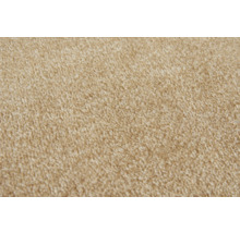 Gros plan d une moquette beige avec une texture à poils doux et denses.