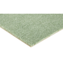 Gros plan d'un tapis vert doux à poils longs avec une texture dense et pelucheuse.