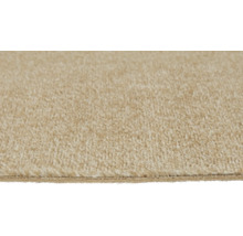 Vue rapprochée d'une moquette beige avec une texture douce à poils coupés.