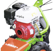 Motoculteur Agria avec moteur Honda GX, réservoir de carburant et pneu à profil agraire.