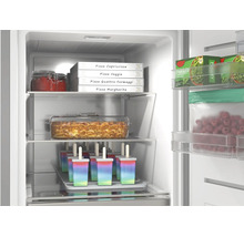 Intérieur d'un congélateur avec divers aliments surgelés tels que pizzas, lasagnes, glaces à l'eau et baies sur des tablettes en verre.