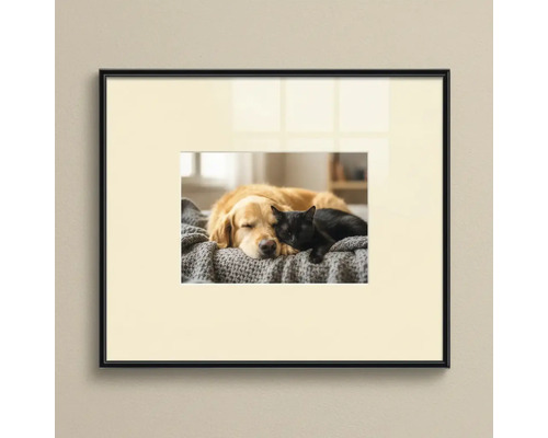 Cadre photo noir avec passe-partout et motif d'un chien et d'un chat dormant sur une couverture.