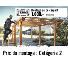 Artisan montant un carport en bois, service de pose et de montage Hornbach, prix pour la catégorie 2.