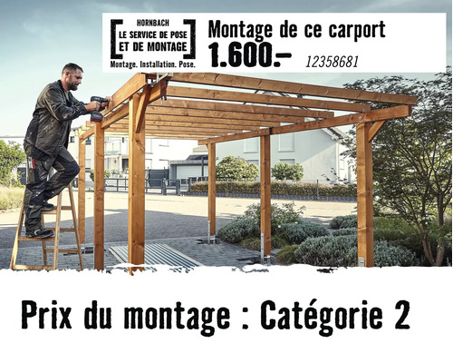 Un artisan installe un carport en bois sur une échelle, Service de pose et de montage Hornbach catégorie de prix deux.