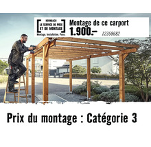 Artisan installant un carport en bois avec une visseuse sans fil sur une échelle, Hornbach Logo.