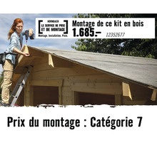 Service de pose et de montage Hornbach pour abris de jardin en bois. Une femme sur une échelle monte le toit avec une perceuse.