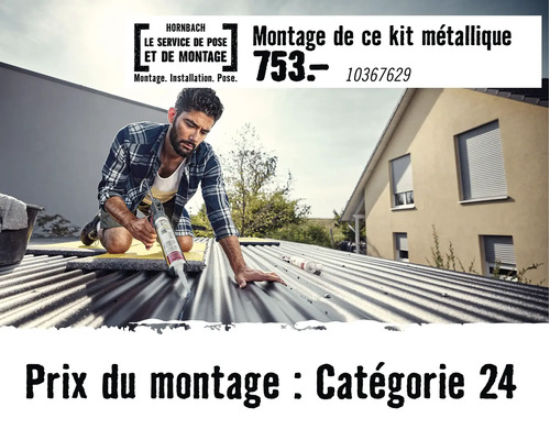 Artisan scellant un toit en métal avec un pistolet à cartouche. Hornbach Logo avec prix pour catégorie 24.