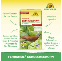 Neudorff Ferramol Schneckenkorn gegen Nacktschnecken an Gemüse, Obst und Zierpflanzen. Regenfest, ohne Wartezeit, schont Haustiere und Nützlinge.