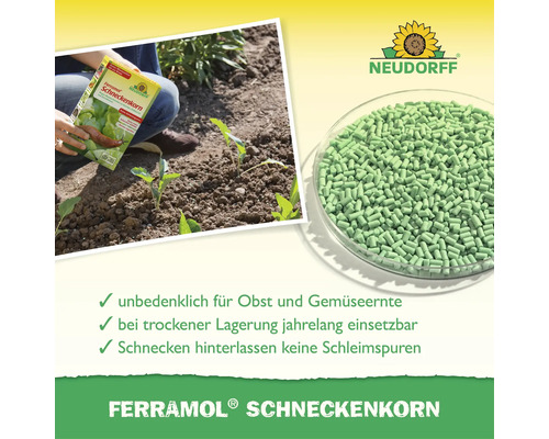 Neudorff Logo, Ferramol Schneckenkorn zur Anwendung im Garten, Ansicht der Granulatkörner und Vorteile wie Erntesicherheit und keine Schleimspuren.