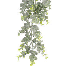 Plante d'eucalyptus artificielle tombante avec feuilles rondes