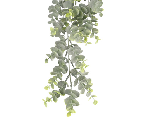 Plante d'eucalyptus artificielle tombante avec feuilles rondes