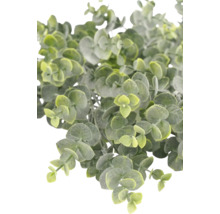 Plante d'eucalyptus artificielle avec de petites feuilles rondes.