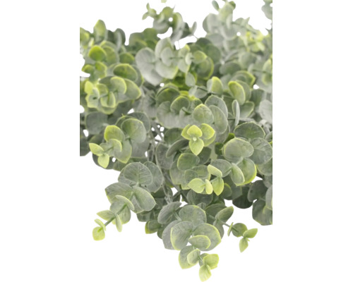 Plante d'eucalyptus artificielle avec de petites feuilles rondes.