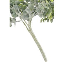 Branche d eucalyptus artificielle avec des feuilles rondes et une tige structurée