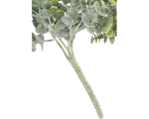 Branche d eucalyptus artificielle avec des feuilles rondes et une tige structurée