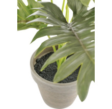 Plante artificielle de Philodendron dans un pot en pierre