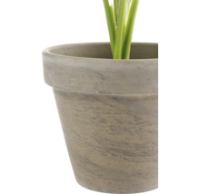 Gros plan d'un cache-pot avec aspect pierre et tiges de plantes visibles.