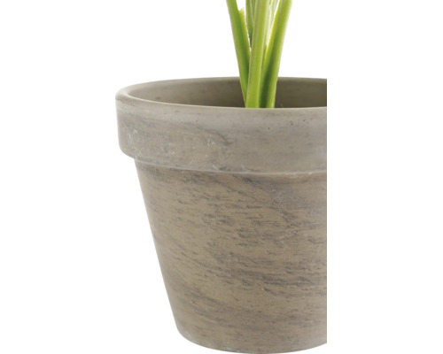 Gros plan d'un cache-pot avec aspect pierre et tiges de plantes visibles.
