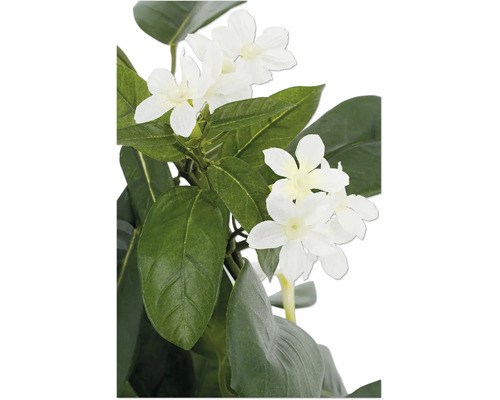 Künstliche Pflanze mit weißen Blüten und grünen Blättern