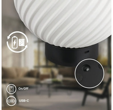 Detailansicht einer kugelförmigen Lampe mit Struktur, schwarzem Sockel, USB-C-Anschluss, Ein-Ausschalter und Symbol für Akkubetrieb.