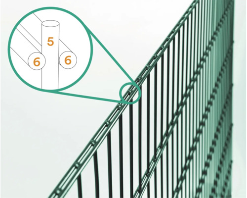 Grüner Doppelstabmattenzaun mit einer Detailansicht zur Drahtstärke von 6-5-6 Millimetern.