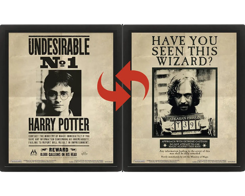 Poster lenticulaire 3D Harry Potter dans un cadre noir avec motif changeant de Harry Potter et Sirius Black.