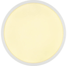 Échantillon de couleur rond pour peinture murale en jaune clair.